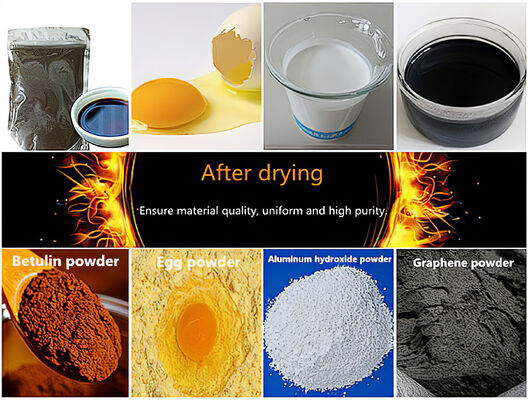 LPG-5 Laboratuvar Mini Düşük Sıcaklık Vakumlu Sprey Kurutucu, 5 Litre Kapasiteli ve 1kg/sa Buharlaşma İçin 30~300℃ Sıcaklık Kontrolü