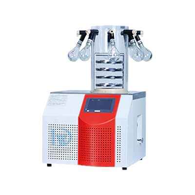 220V 1Kw SUS304 Otomatik Laboratuvar Dondurucu Kurutma Makinesini