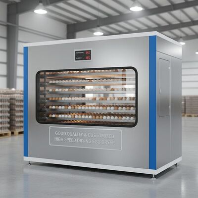 Kaliteli ve Özelleştirilmiş Yüksek Hızlı Kurutma Yumurta Kurutma Makinesi